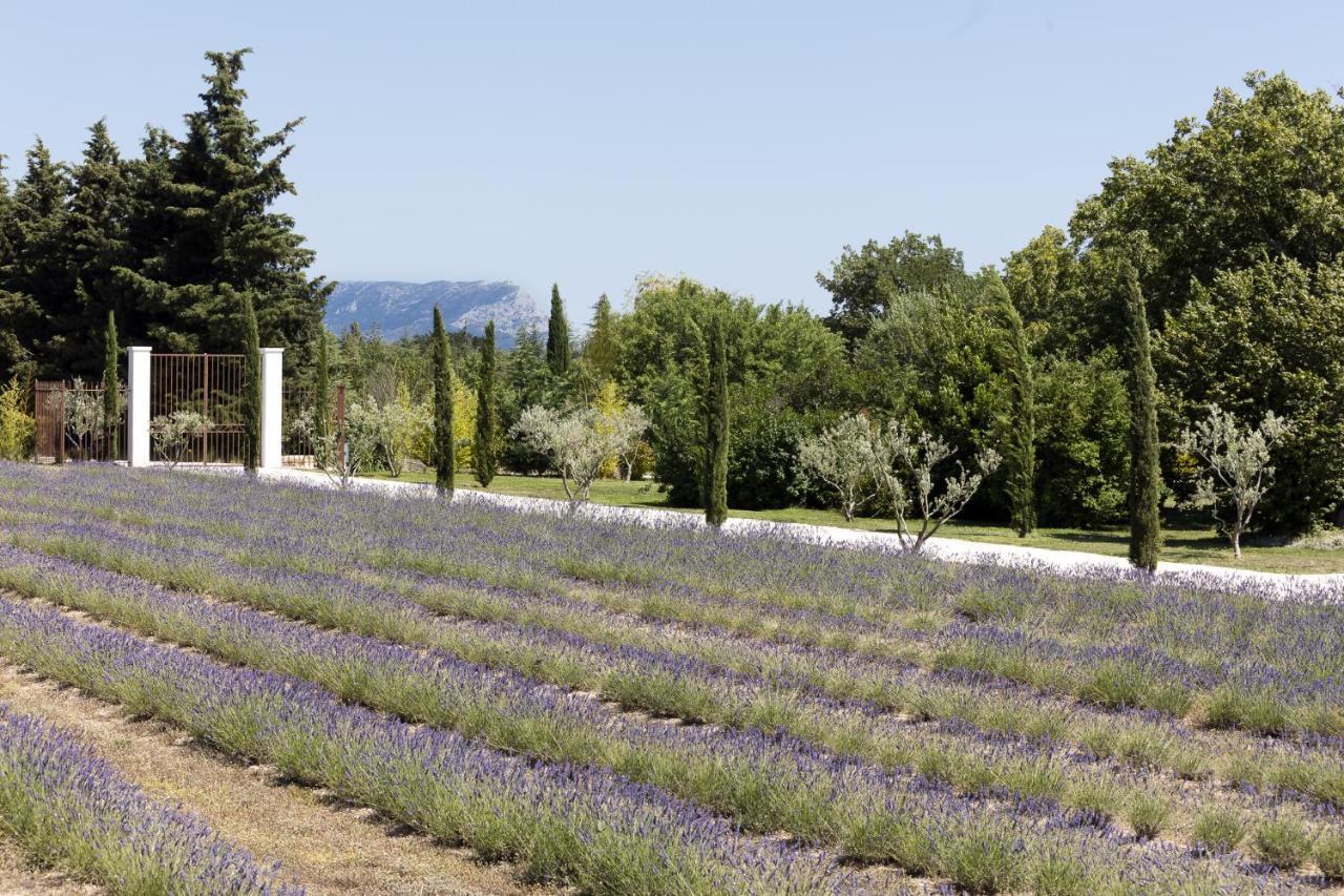 Affittacamere La Bastide De Damien, 5 Clefs Demeure D'exception Et Table Remarquable Dans Le Guide Teritoria, Jacuzzi Privatif, Cuisine Etoilee Dominique Frerard Aix-en-Provence