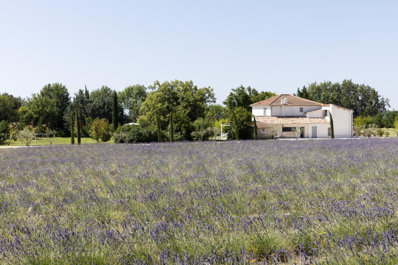 La Bastide De Damien, 5 Clefs Demeure D'exception Et Table Remarquable Dans Le Guide Teritoria, Jacuzzi Privatif, Cuisine Etoilee Dominique Frerard Affittacamere
