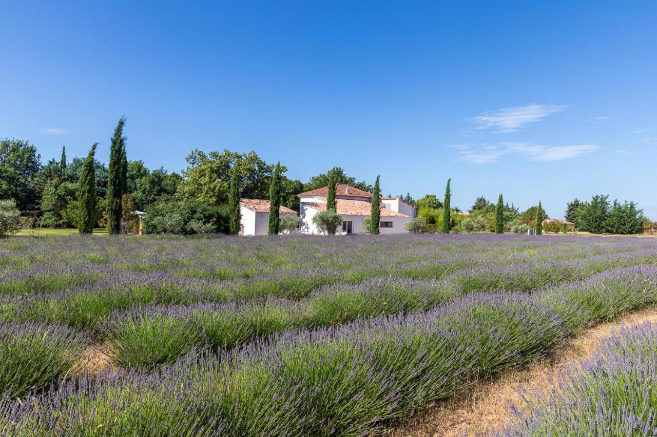 Guest house La Bastide De Damien, 5 Clefs Demeure D'exception Et Table Remarquable Dans Le Guide Teritoria, Jacuzzi Privatif, Cuisine Etoilee Dominique Frerard Aix-en-Provence