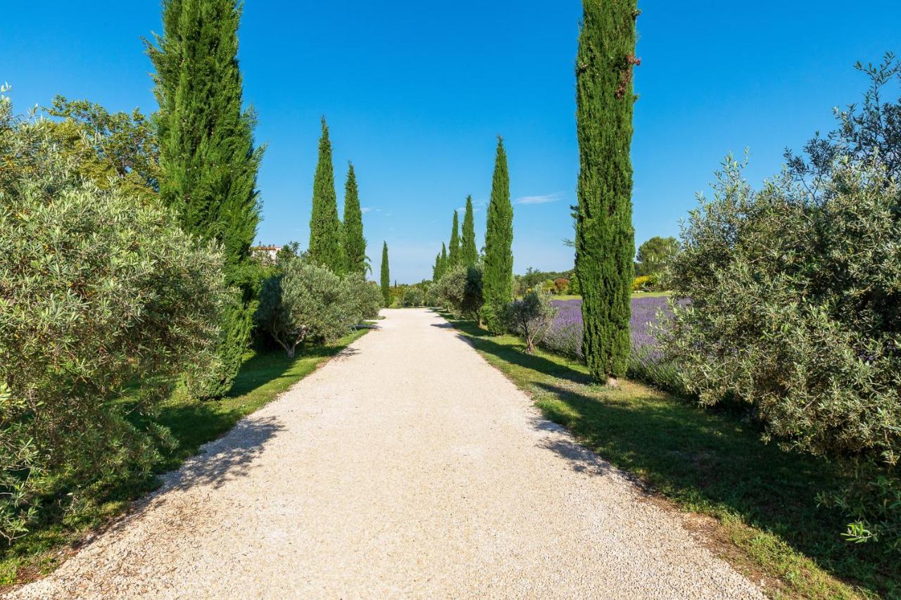 La Bastide De Damien, 5 Clefs Demeure D'exception Et Table Remarquable Dans Le Guide Teritoria, Jacuzzi Privatif, Cuisine Etoilee Dominique Frerard 5* Aix-en-Provence