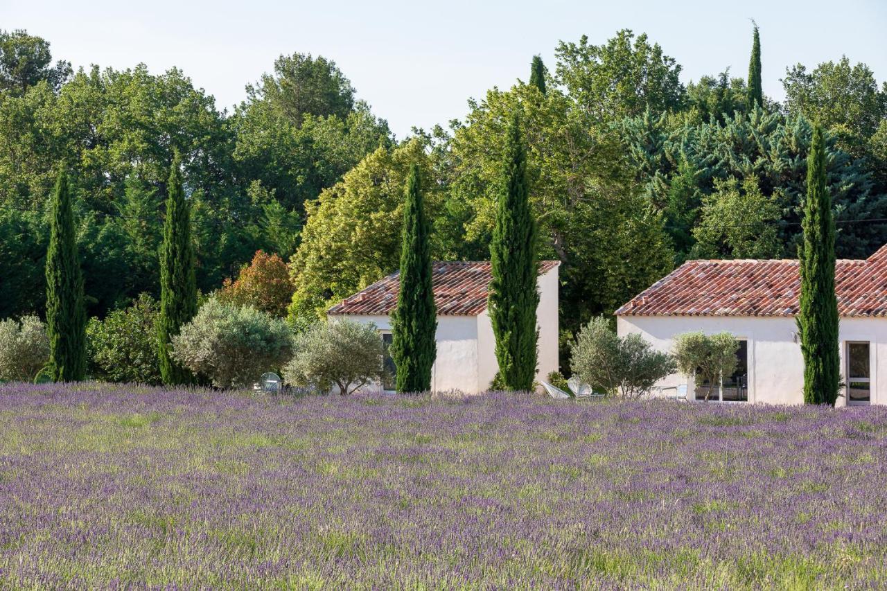 La Bastide De Damien, 5 Clefs Demeure D'exception Et Table Remarquable Dans Le Guide Teritoria, Jacuzzi Privatif, Cuisine Etoilee Dominique Frerard Guest house