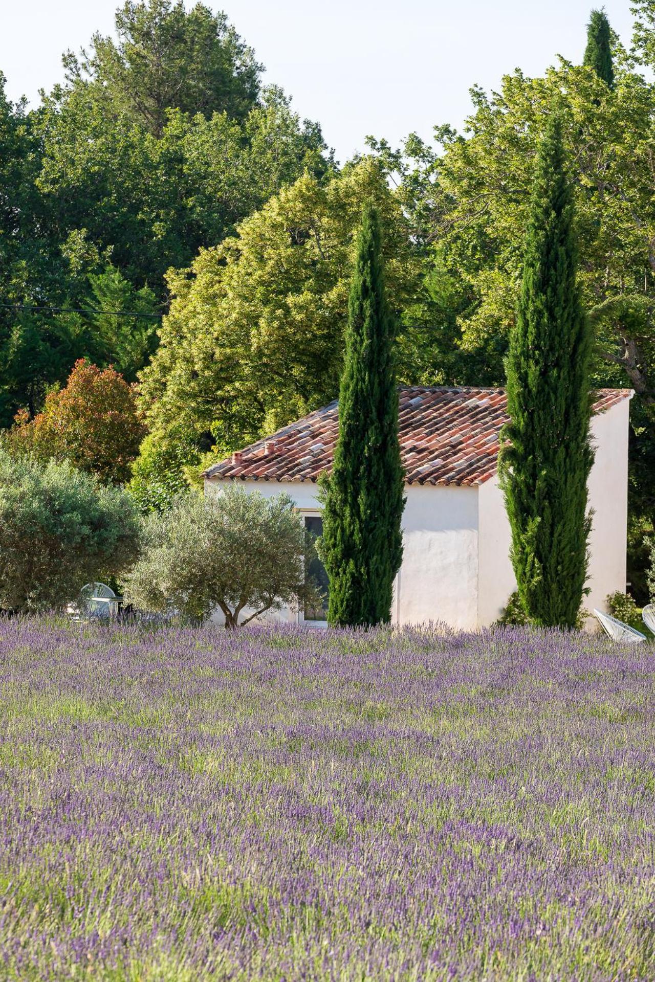 La Bastide De Damien, 5 Clefs Demeure D'exception Et Table Remarquable Dans Le Guide Teritoria, Jacuzzi Privatif, Cuisine Etoilee Dominique Frerard Guest house 5*