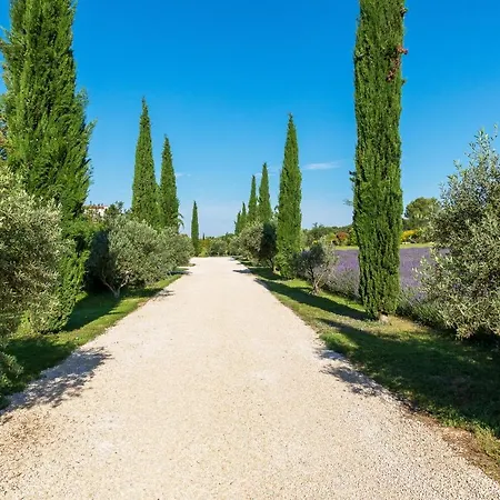 La Bastide De Damien, 5 Clefs Demeure D'Exception Et Table Remarquable Dans Le Guide Teritoria, Jacuzzi Privatif, Cuisine Etoilee Dominique Frerard Hotel Aix-en-Provence Exterior photo