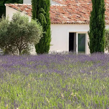 La Bastide De Damien, 5 Clefs Demeure D'Exception Et Table Remarquable Dans Le Guide Teritoria, Jacuzzi Privatif, Cuisine Etoilee Dominique Frerard Hotel Aix-en-Provence Exterior photo