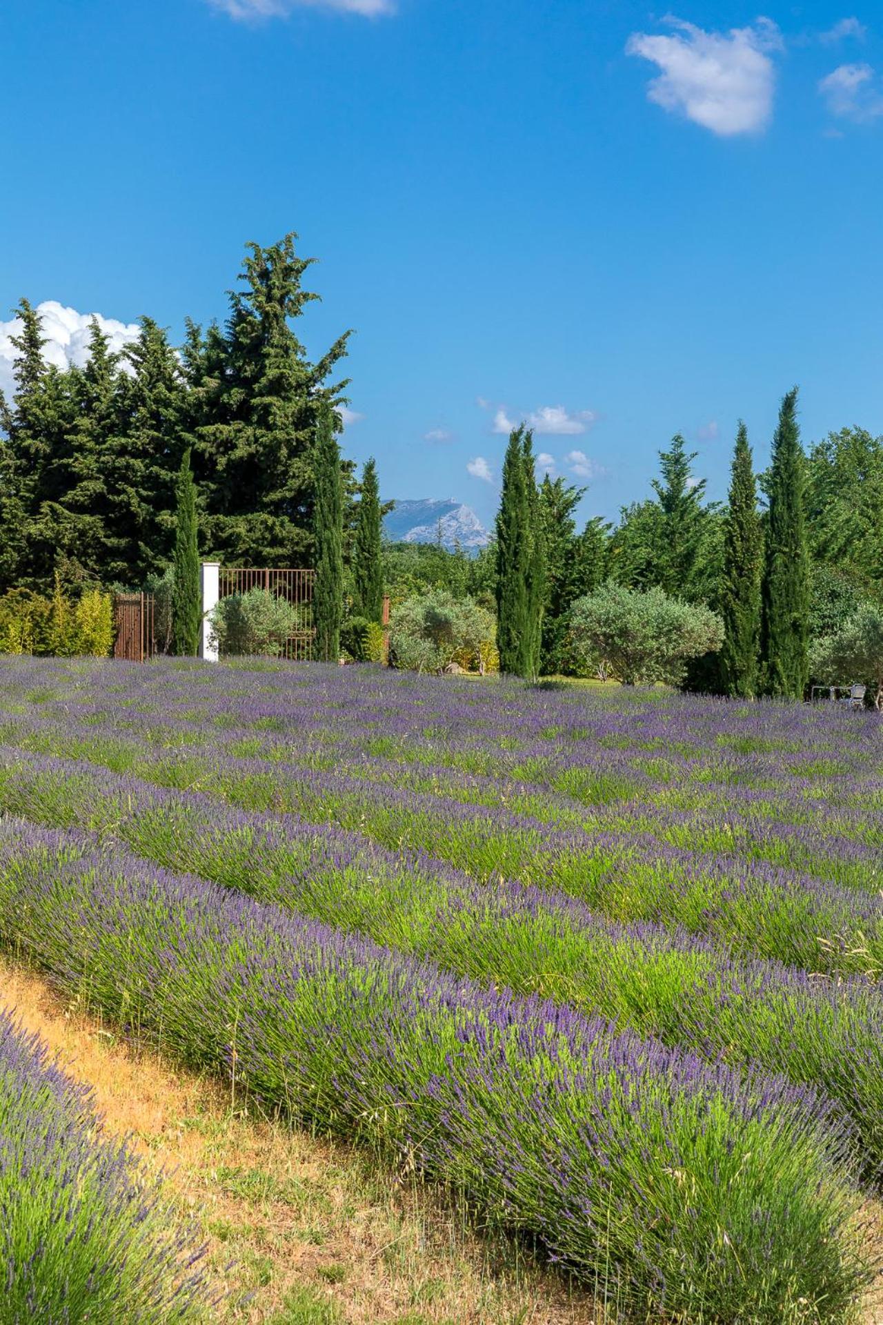 Romantique, Jacuzzi Et Lit D'exception Aix-en-Provence