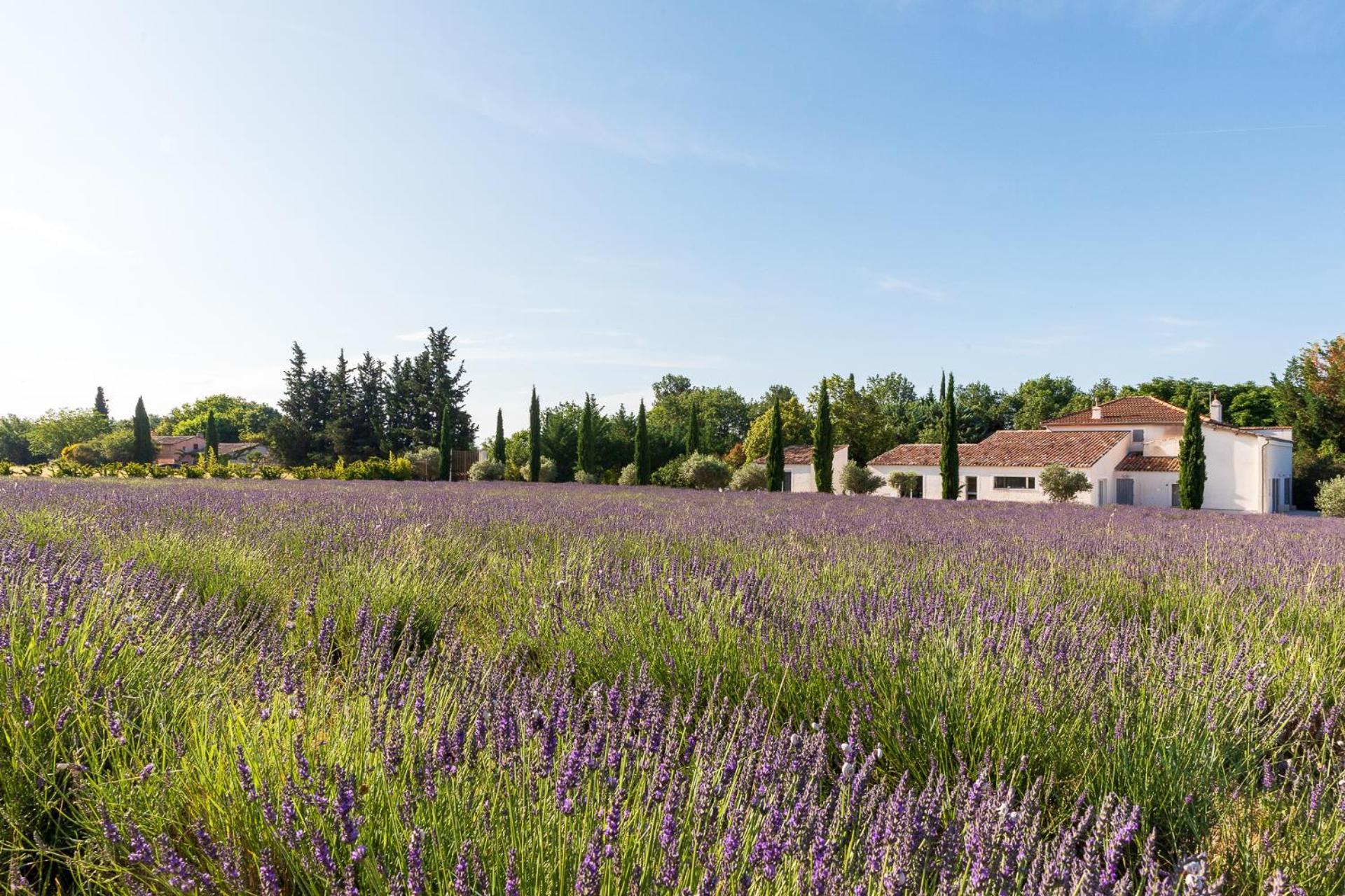 Romantique, Jacuzzi Et Lit D'exception Maison d'hôtes