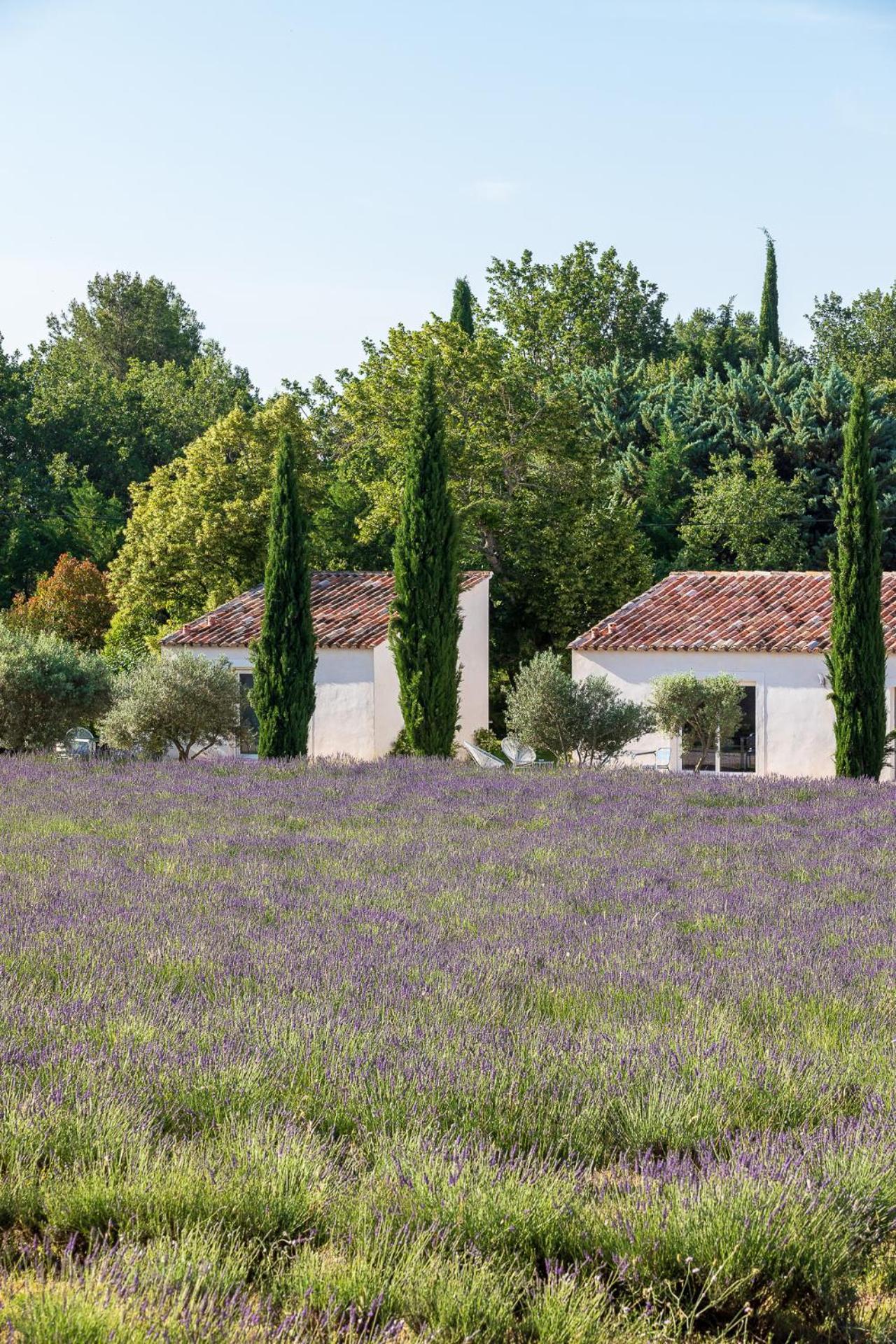 Romantique, Jacuzzi Et Lit D'exception Aix-en-Provence