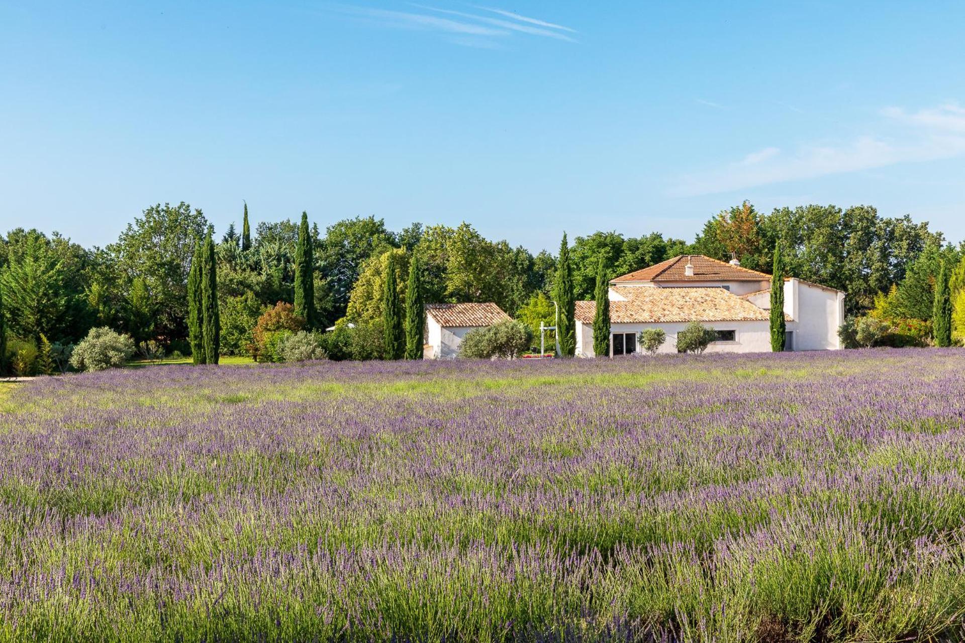 Romantique, Jacuzzi Et Lit D'exception 5*