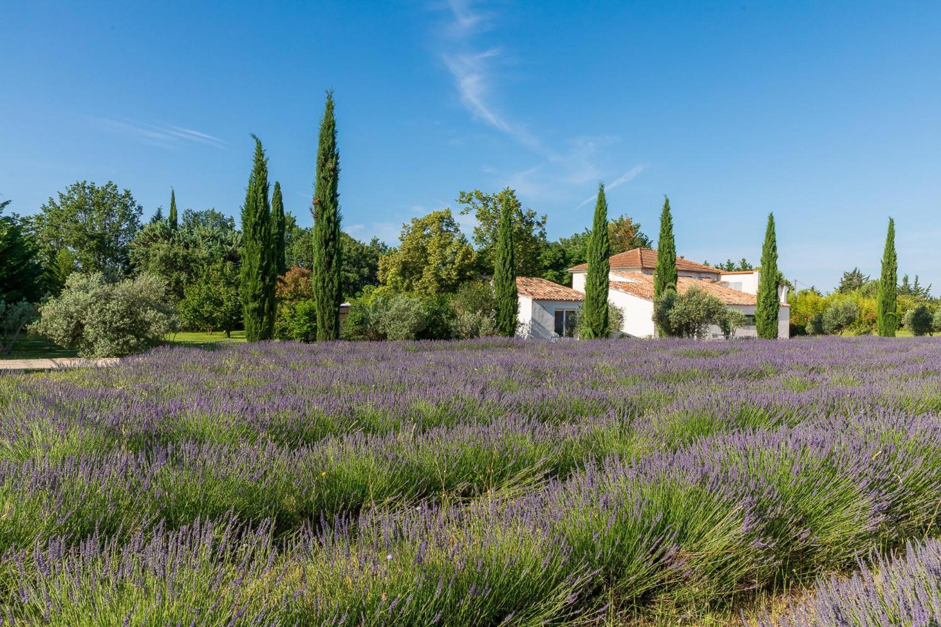 Romantique, Jacuzzi Et Lit D'exception Maison d'hôtes Aix-en-Provence