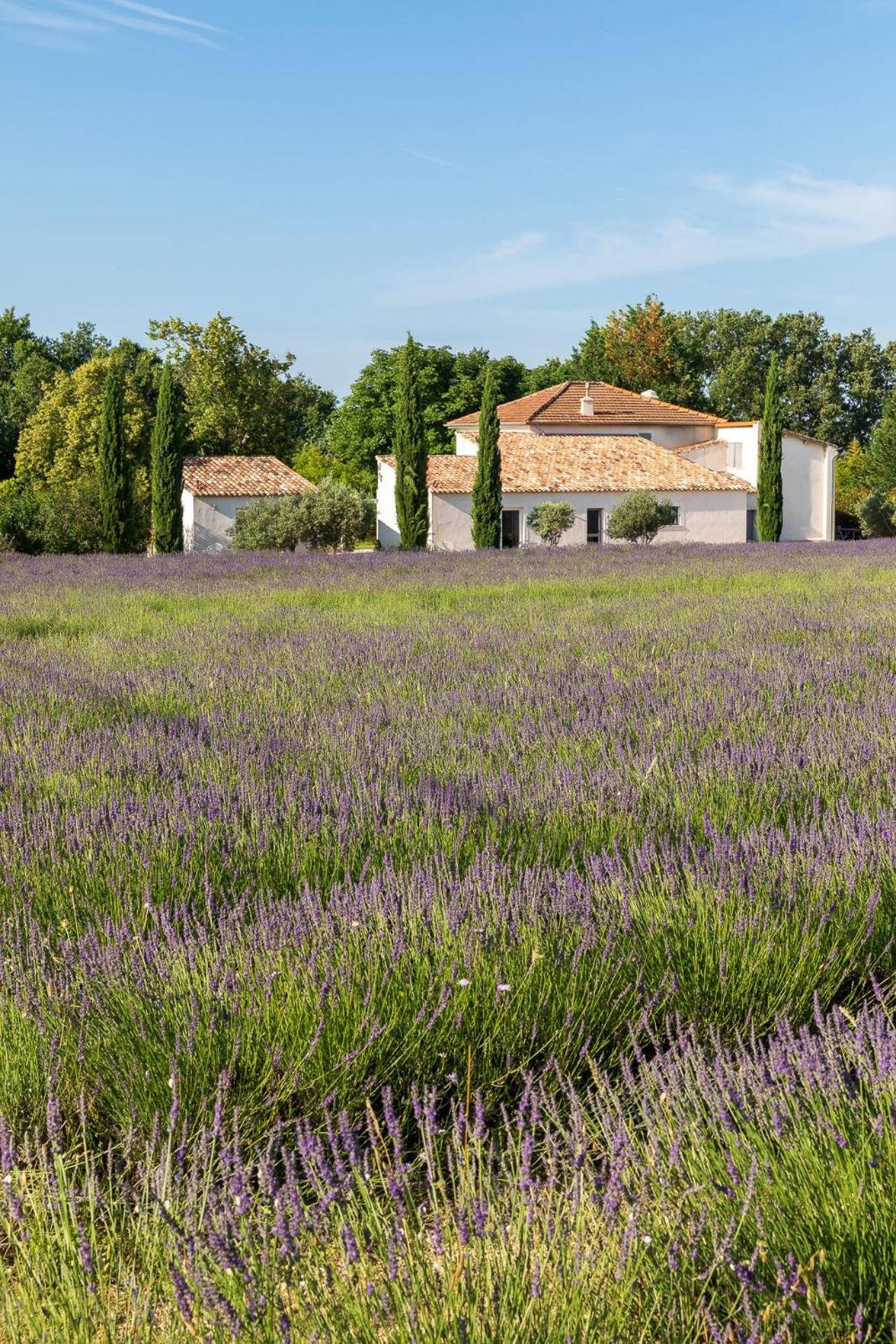 Maison d'hôtes Romantique, Jacuzzi Et Lit D'exception
